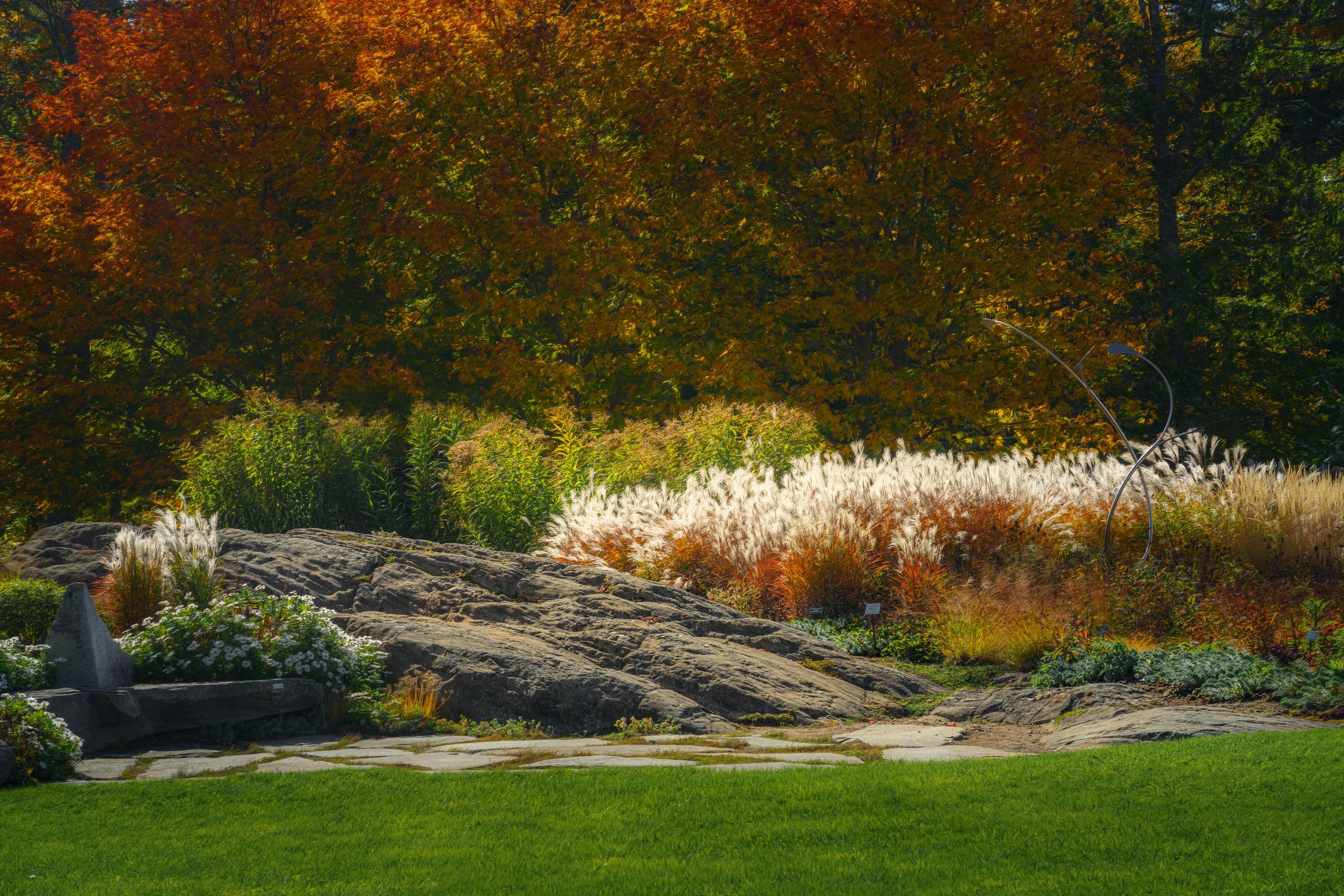 Jardin naturel en automne : dalle de pierre, graminées en plumets et pas de pierre dans le gazon, dans une lumière dorée