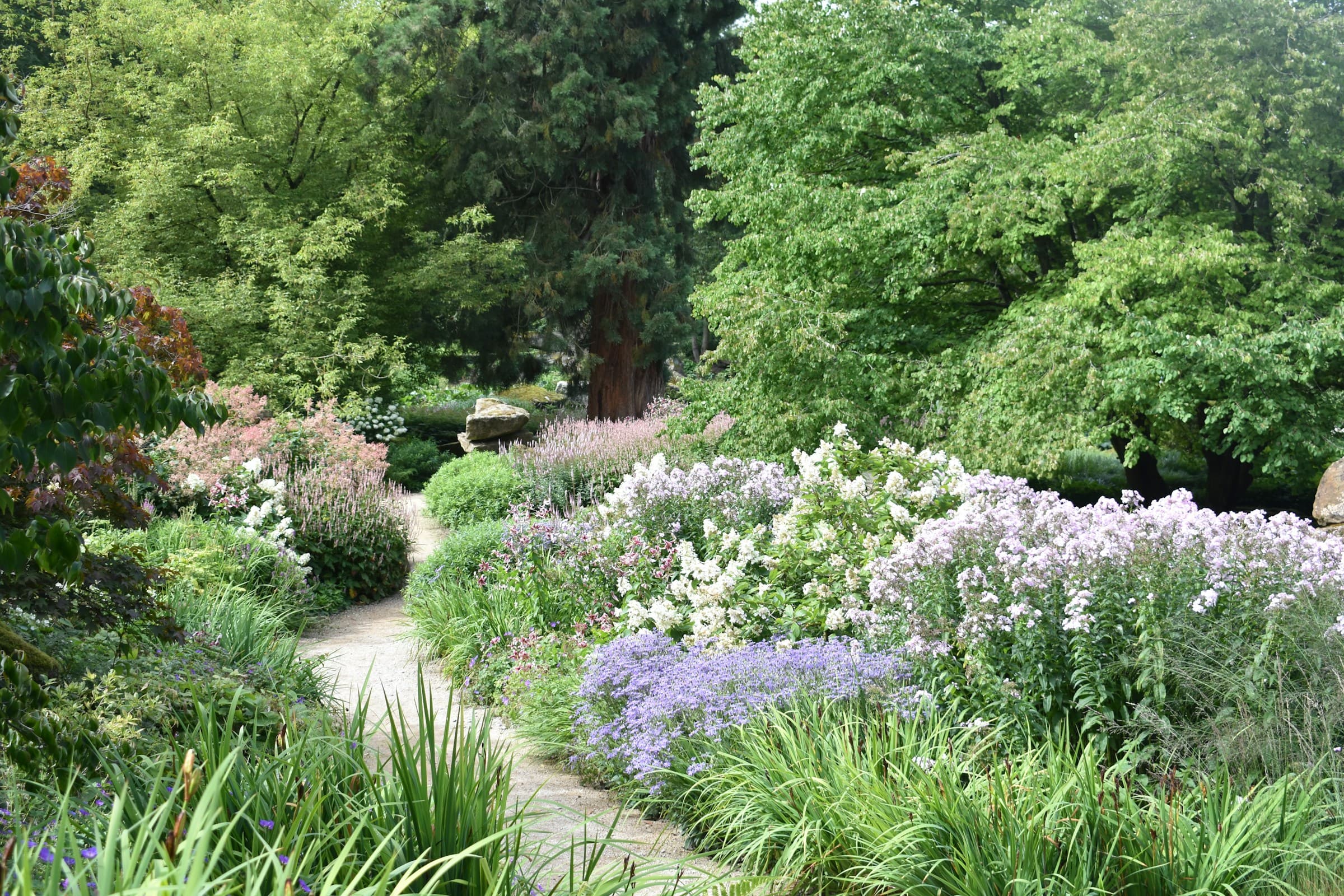 Chemin sinueux entre des massifs fleuris blancs et mauves